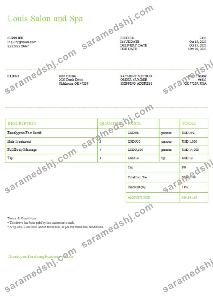 USA Louis Salon and Spa invoice